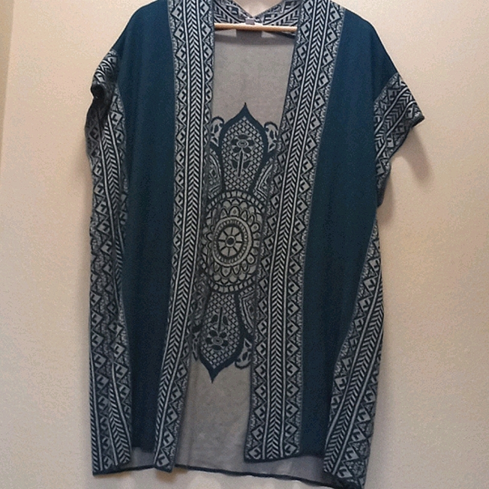 Great northwest indigo sweater (866)
